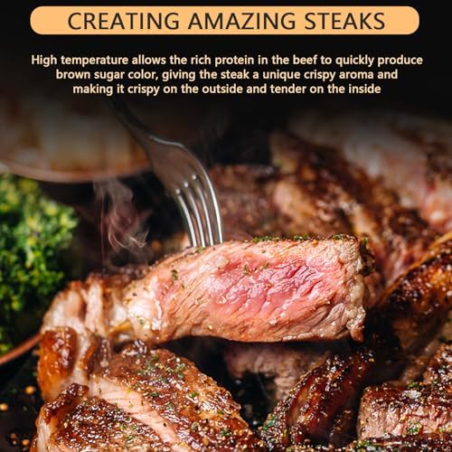 1700W Electric Steak Broiler, Indoor Steak Grill with 10-Tier Rack, Stainless Steel Grill, 10min Fast Heating 800℃, for Steak Ribeyes Chicken Vegetables