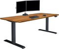 Vari Classic Electric Standing Desk - VariDesk Height Adjustable Sit/Stand Desk - Dual Motor with Memory Presets, Stable Legs - Gaming, Home Office Workstation - 72x30 (Butcher Block/Slate Legs)