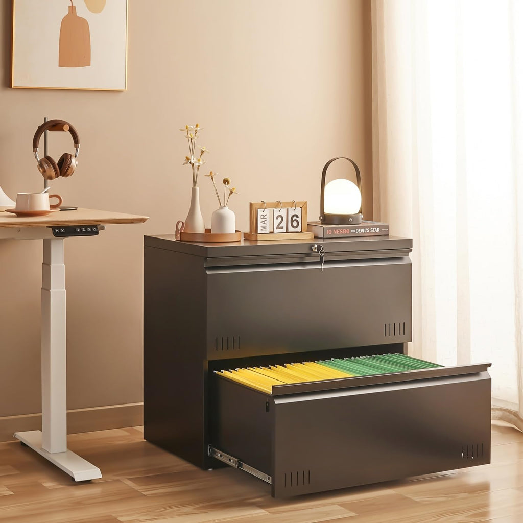 Approgreent 2 Drawer File Cabinet, File Cabinets for Home Office, Printer Stand, File Cabinet with Lock, Lateral Filing Cabinet for A4/Letter/Legal Size File Folders, Assembly Required(Black)