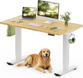 FLEXISPOT Solid Wood Standing Desk, One-Piece Real Wood Desktop, Electric Height Adjustable Desk for Home Office, 176 LBS Capacity (48'x24' Bamboo, White Frame)