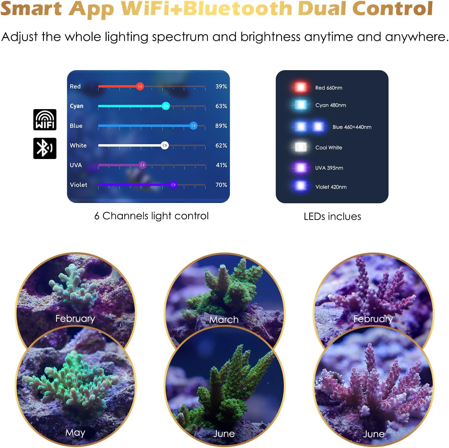 GLOWRIUM Saltwater Aquarium Light, Smart Reef Coral Fish Tank Light with Bluetooth + WiFi Dual Control App, DIY Spectrum, Brightness Adjustable, Anti-Drop, Real Time Water Temperature Sensor(24-30 in)