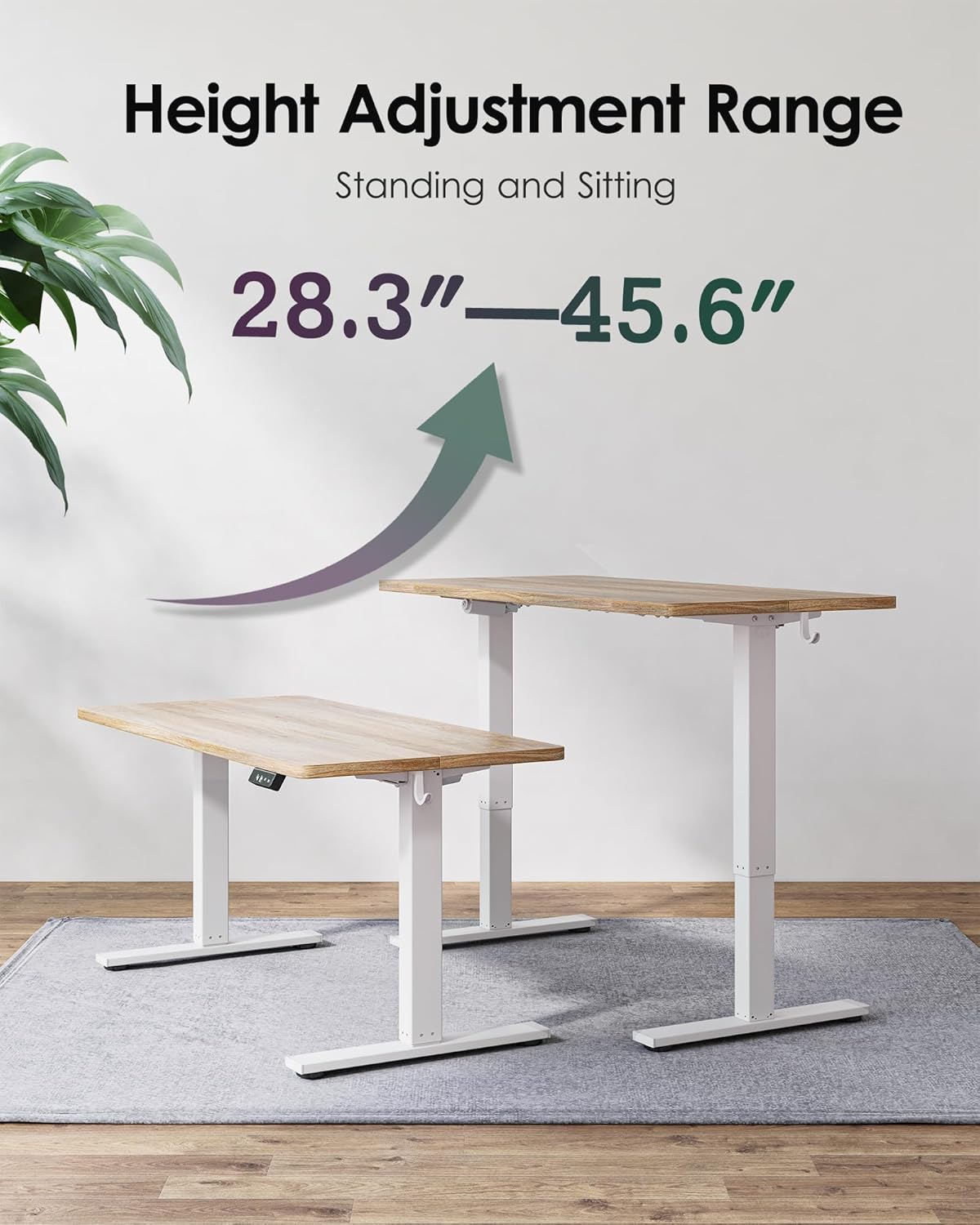 TIQLAB Standing Desk 63 x 24 inch, Electric Height Adjustable Desk with Splice Board, Sit Stand Desk Computer Table for Home Office, White Frame/Maple Top
