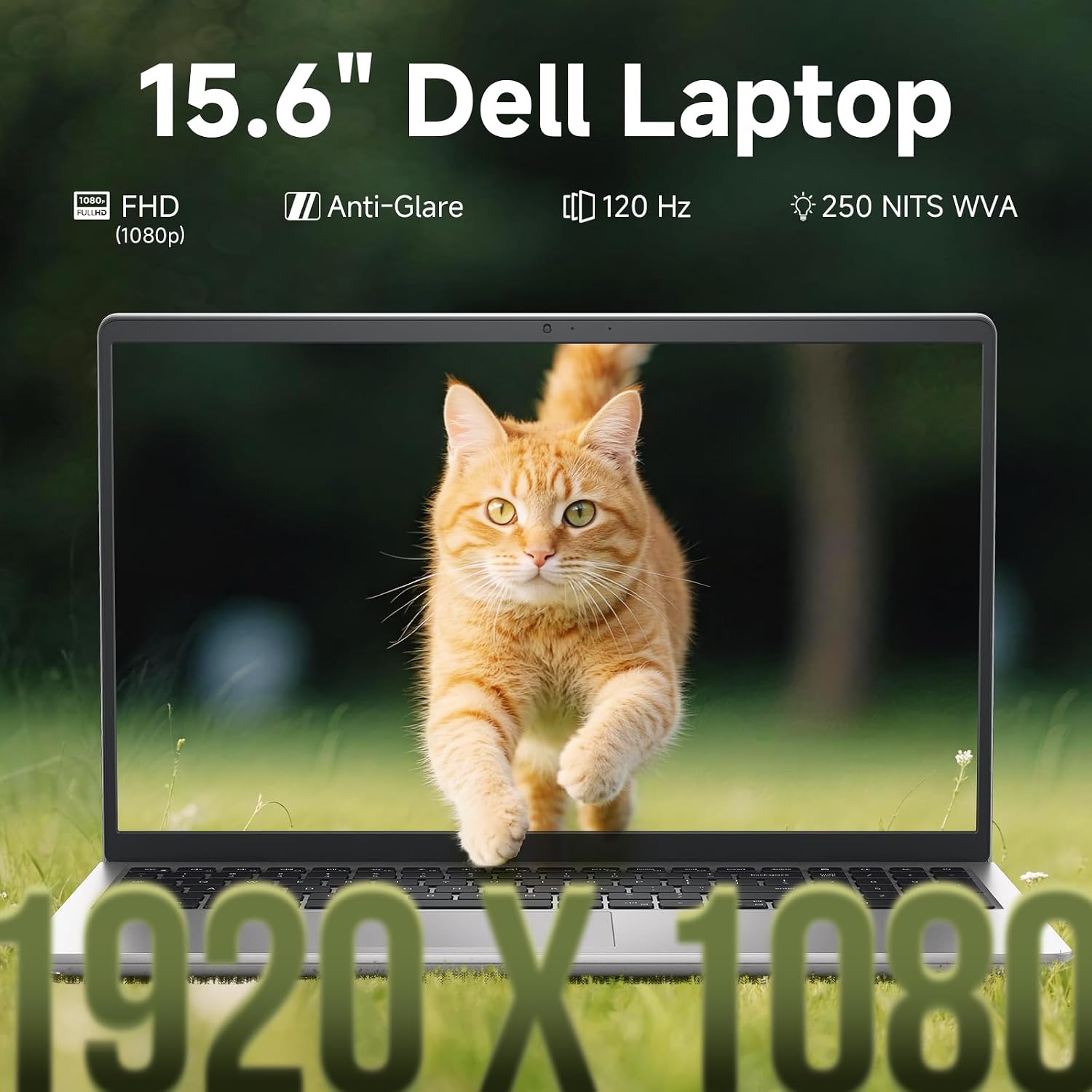 Dell 15 Laptop DC15250, 15.6-inch FHD (1920x1080) 120Hz Display, Intel Core i7-1355U (UP to 5.0 GHz), 16 GB RAM, 512 GB SSD, Intel UHD Graphics, Backlit Keyboard, Fingerprint Reader, Windows 11 Pro