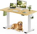FLEXISPOT Solid Wood Standing Desk, One-Piece Real Wood Desktop, Electric Height Adjustable Desk for Home Office, 176 LBS Capacity (48'x24' Curved Bamboo, White Frame)