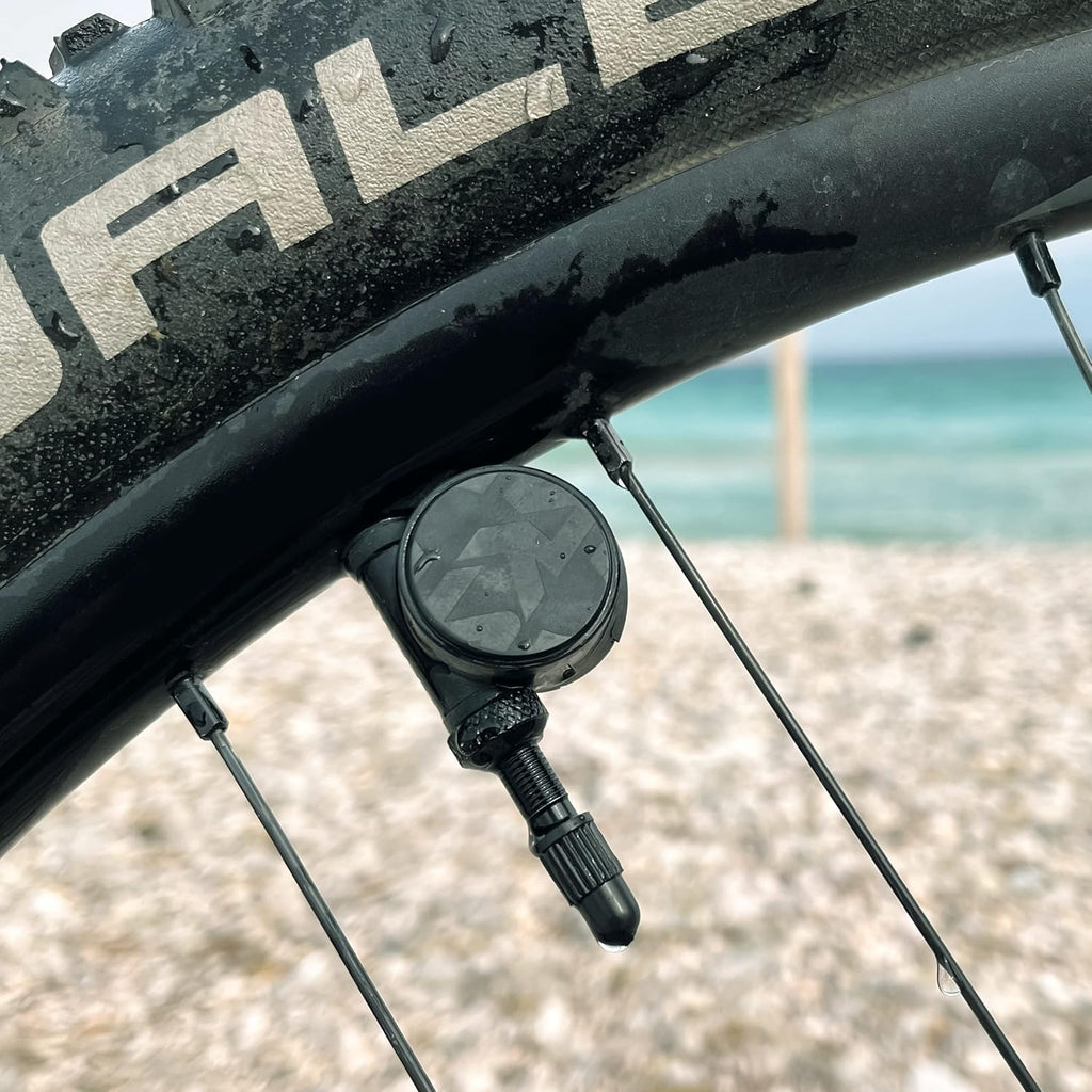 SKS Germany Airspy Interactive Pressure Gauge (Schrader)