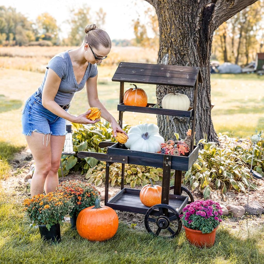 Sunnydaze Country Market Flower Cart Display Stand with Wheels - 2 Shelves - Fir Wood - 30 lb Weight Capacity - Charred Fir