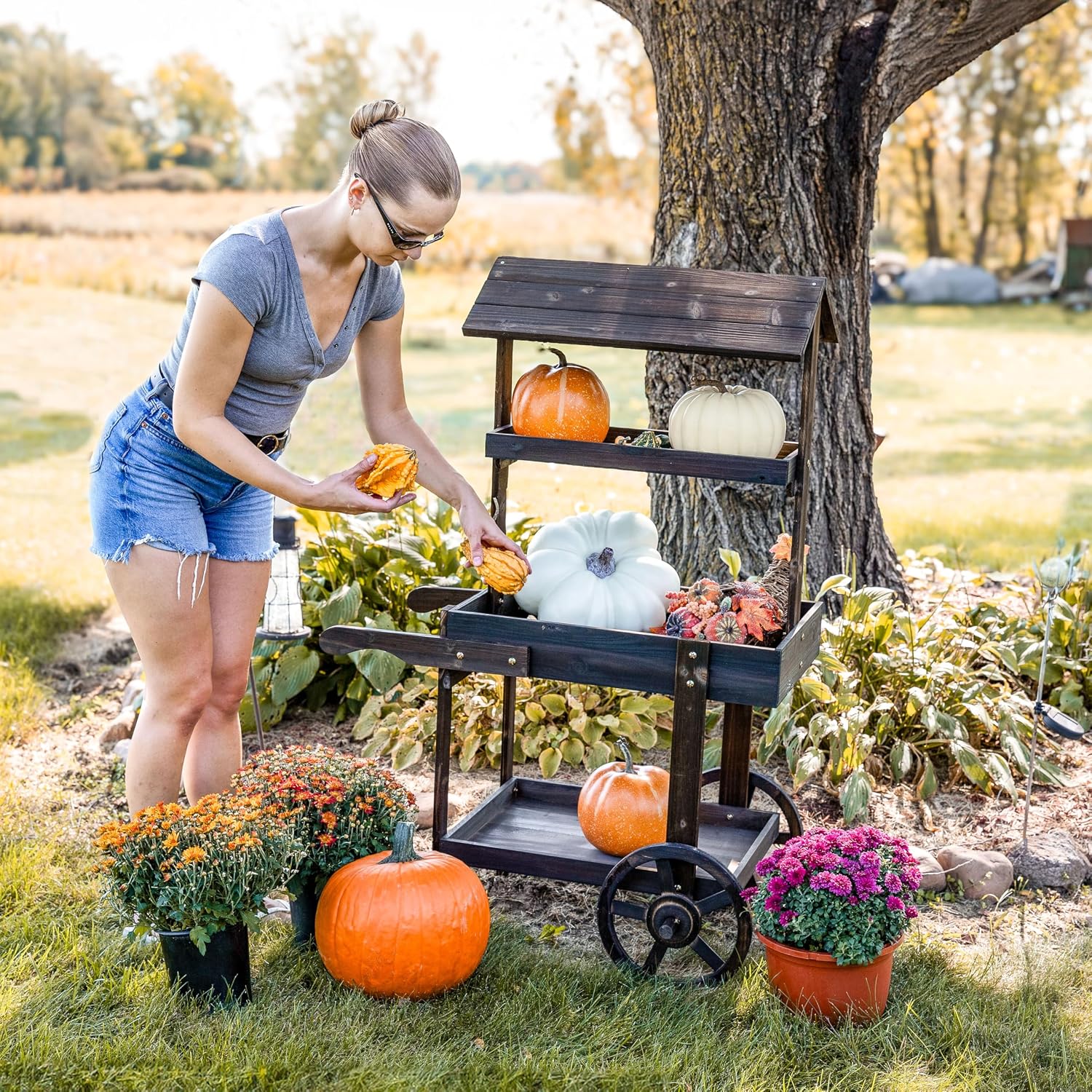 Sunnydaze Country Market Flower Cart Display Stand with Wheels - 2 Shelves - Fir Wood - 30 lb Weight Capacity - Charred Fir