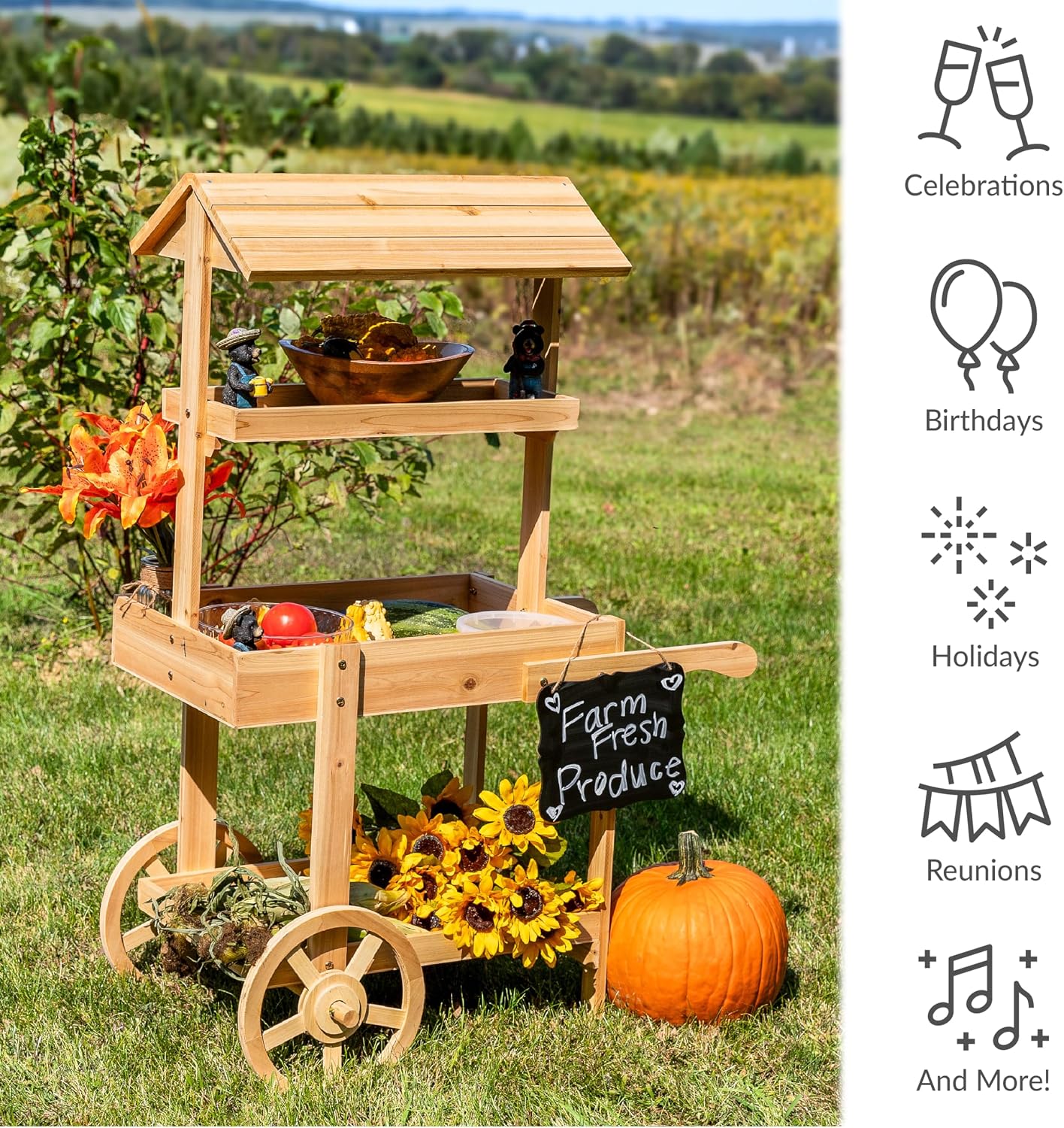 Sunnydaze Country Market Flower Cart Display Stand with Wheels - 2 Shelves - Fir Wood - 30 lb Weight Capacity - Natural Fir