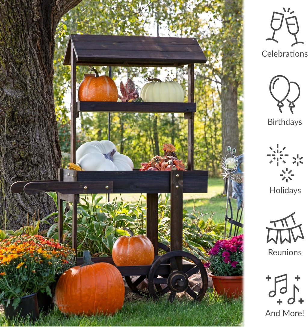 Sunnydaze Country Market Flower Cart Display Stand with Wheels - 2 Shelves - Fir Wood - 30 lb Weight Capacity - Charred Fir