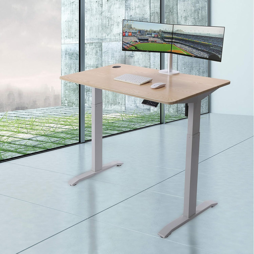 UNICOO Electric Height Adjustable Standing Desk, Electric Standing Workstation, Sit Stand Home Office Desk, Gaming Table, Whole-Piece Desktop Board 48 * 24 in (KT1001-LW)