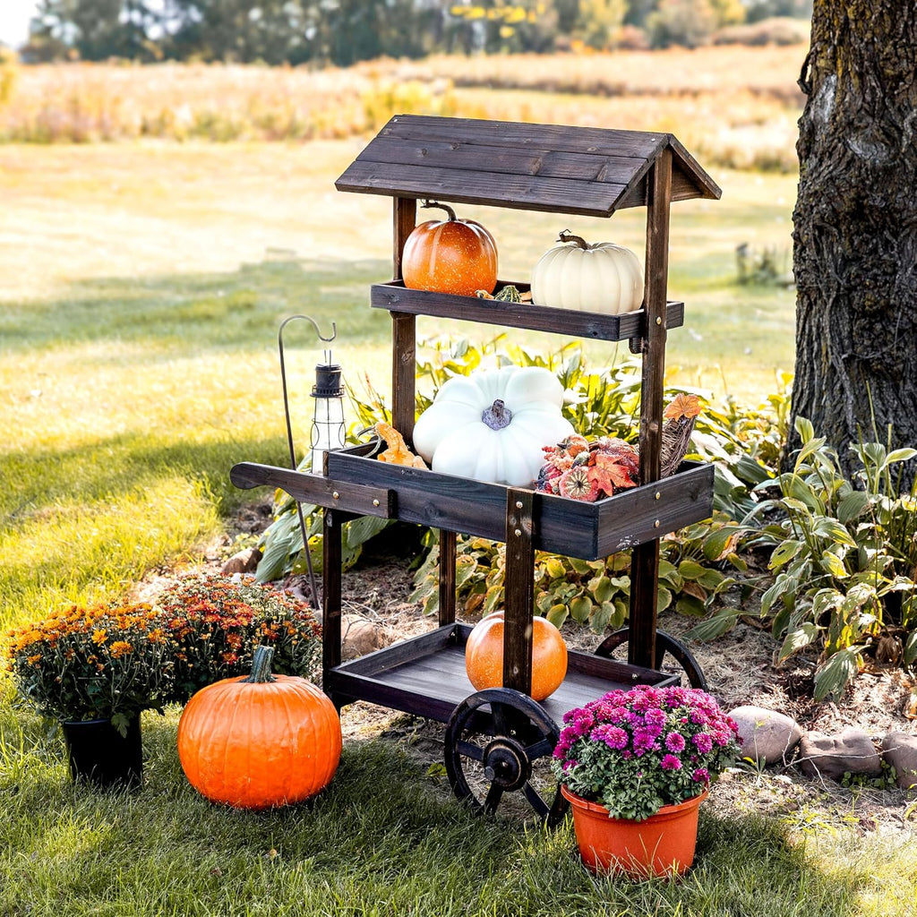 Sunnydaze Country Market Flower Cart Display Stand with Wheels - 2 Shelves - Fir Wood - 30 lb Weight Capacity - Charred Fir